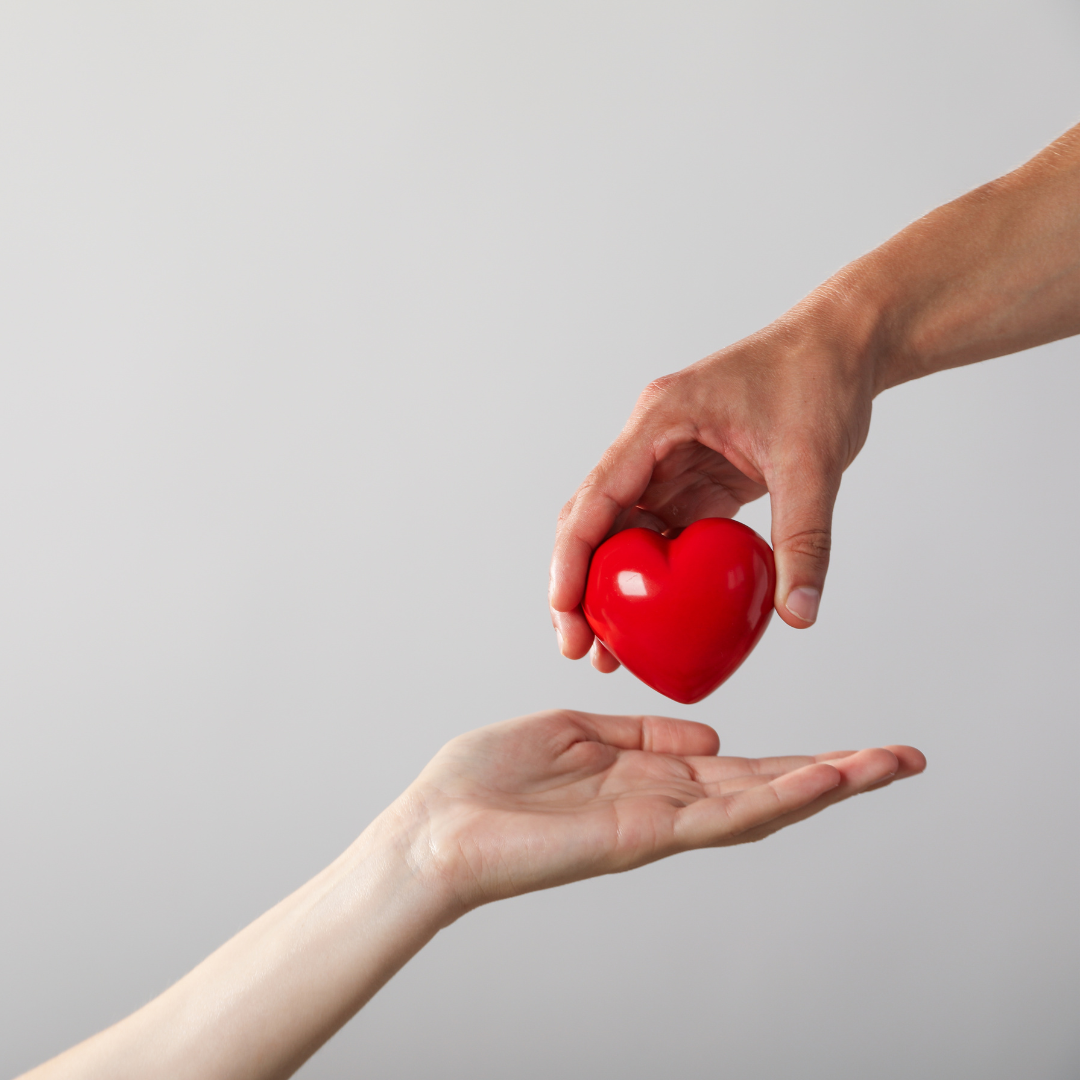 Why Fresh Egg Donation is the Best Choice for Growing Your Family Las Vegas Egg Donation Agency